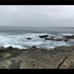 Meet your Posher, Karina